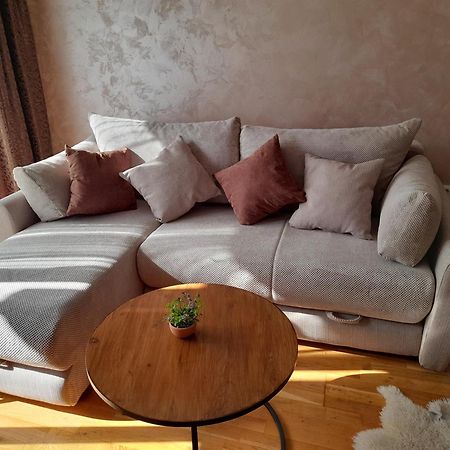 Appartement Ogi Apartman à Podgorica Extérieur photo